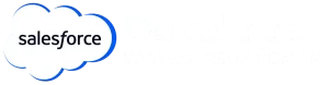 Salesforce Developer Company - gersuz